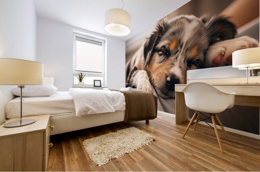 Alert Australian Shepherd Puppy Ready To Play Mural print