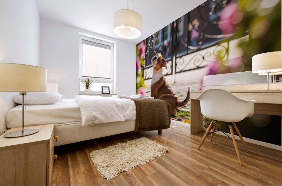 Bulldog Puppy Waits By School Gate Mural print