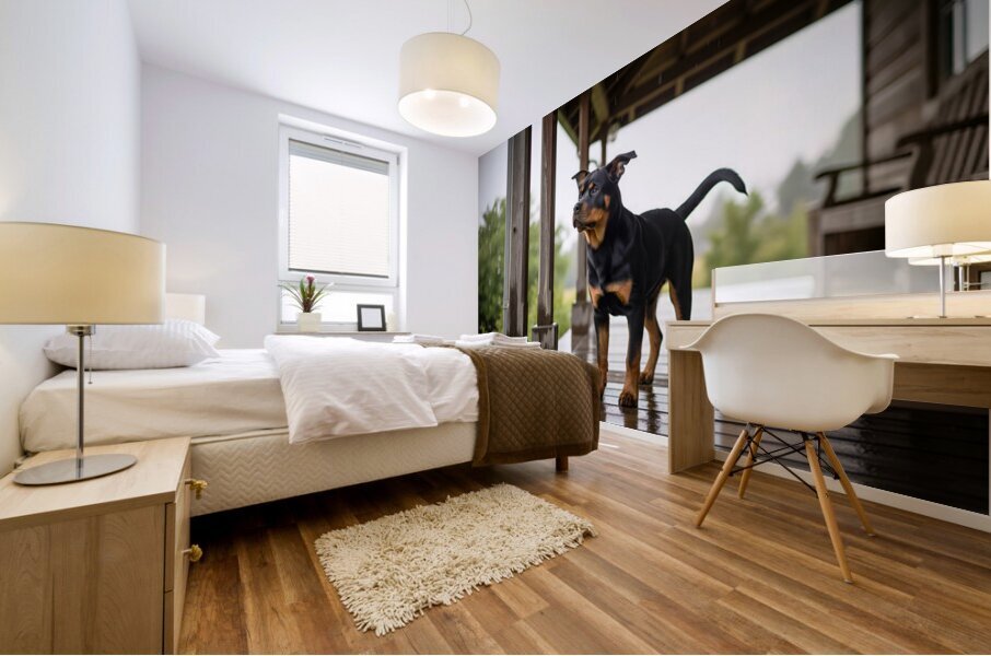 Joyful Rottweiler Puppy Wags Tail Under Porch Mural print