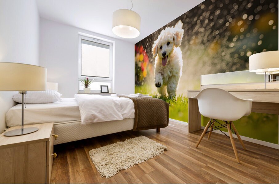 Poodle Puppy Discovers Garden Sprinkler Mural print