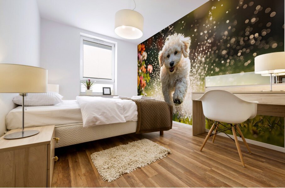 Tired Poodle Puppy Rests After Sprinkler Fun Mural print