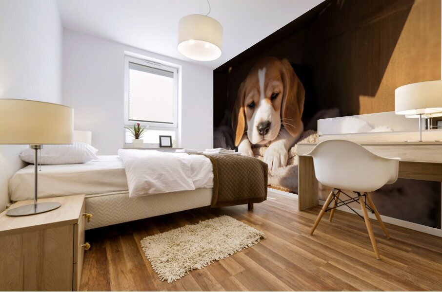 Beagle Puppy Listens From Hidden Box Fort Mural print