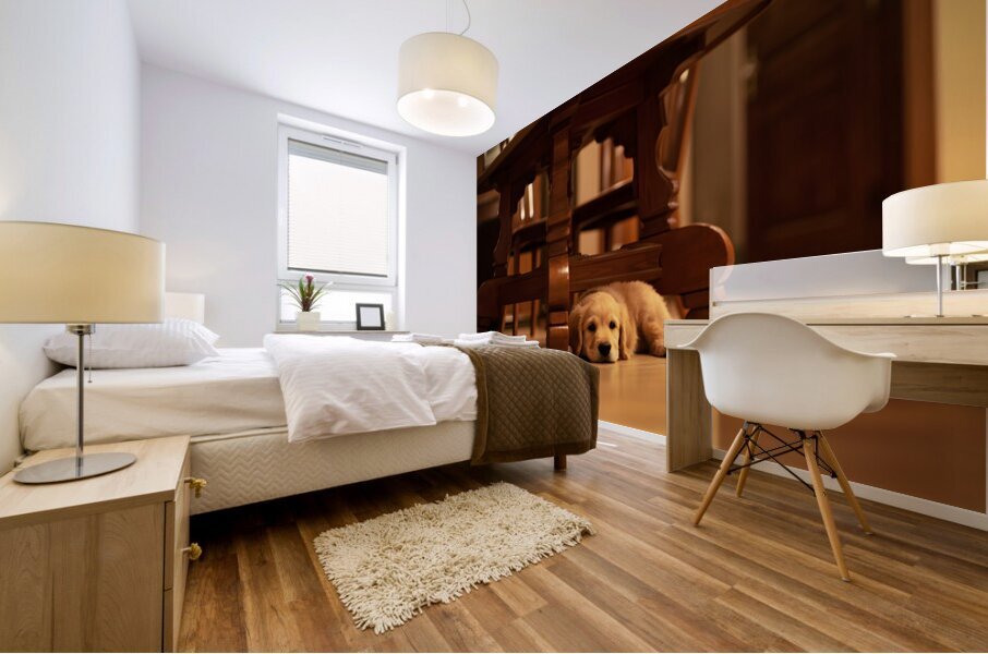 Curious Puppy Peeks From Behind Bookshelf Mural print