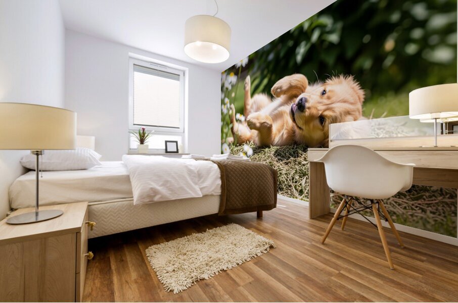 Herby Golden Puppy After Rolling Session Mural print