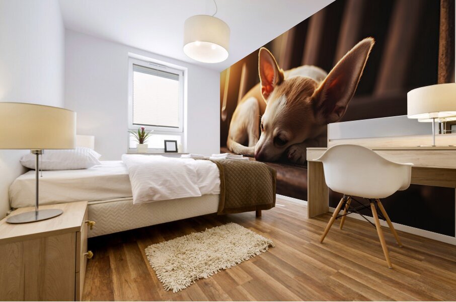 Chihuahua Puppy Dreams Peacefully On Rocking Chair Mural print
