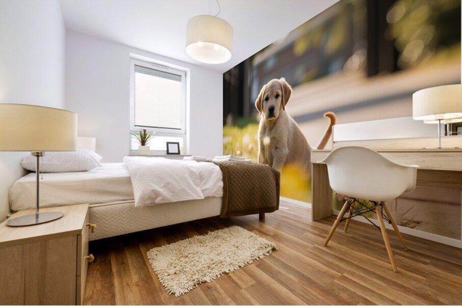 Patient Puppy Rests While Maintaining His Faithful Watch Mural print