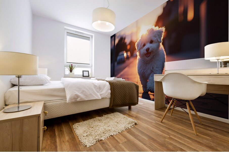 Bichon Frise Puppy Gets Ready For Night Out Mural print