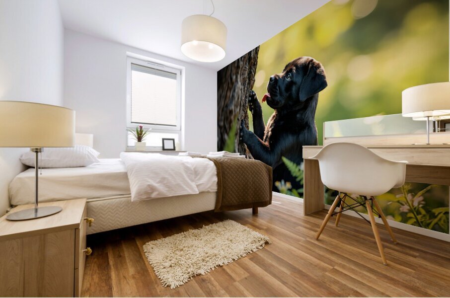 Cane Corso Puppy Spots Squirrel At Tree Base Mural print