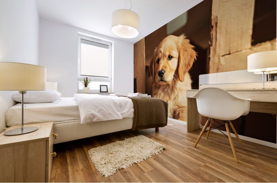 Golden Retriever Puppy Discovers Perfect Hiding Spot Mural print