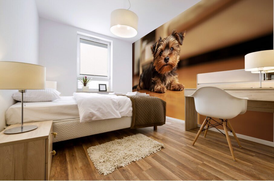 Yorkshire Terrier Puppy Caught Climbing Forbidden Sofa Mural print