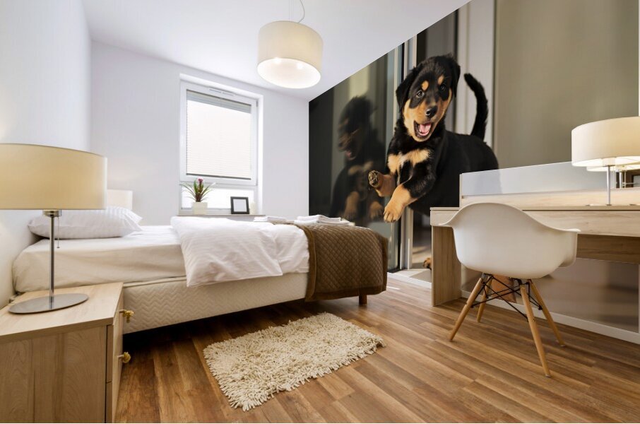 Rottweiler Puppy Discovers Glass Door Reflection Mural print