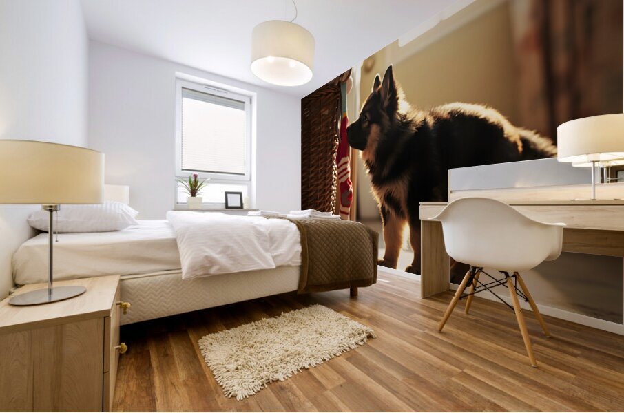 German Shepherd Puppy Discovers Laundry Basket Mural print