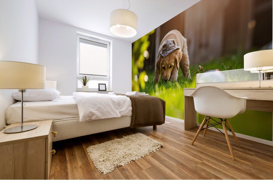 Golden Retriever Puppy Detective Begins Investigation Mural print