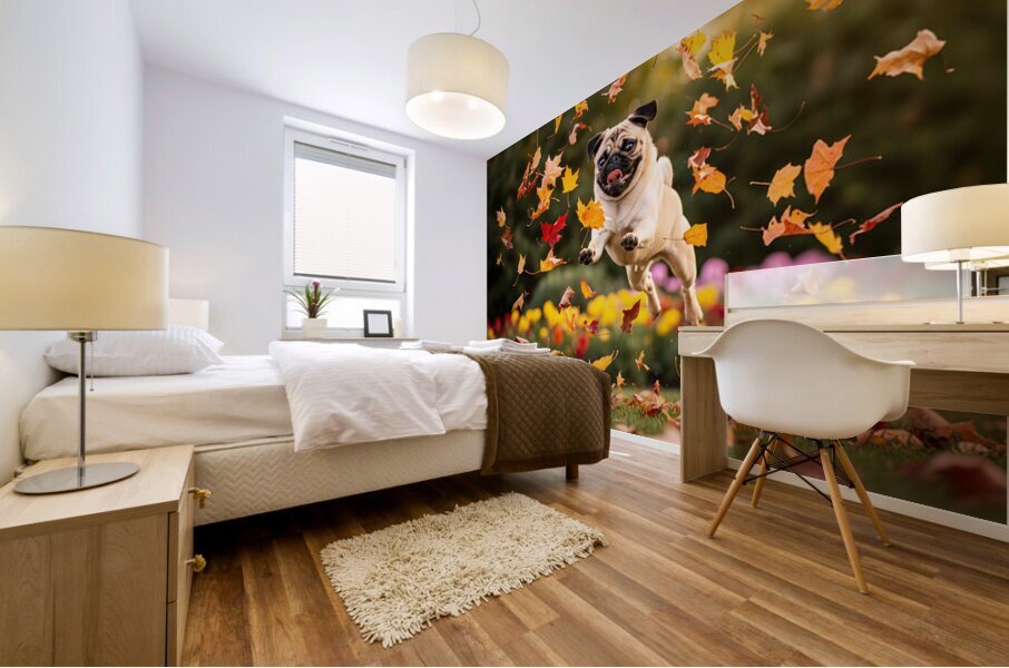 Pug Puppy Rests After Wind Play Mural print