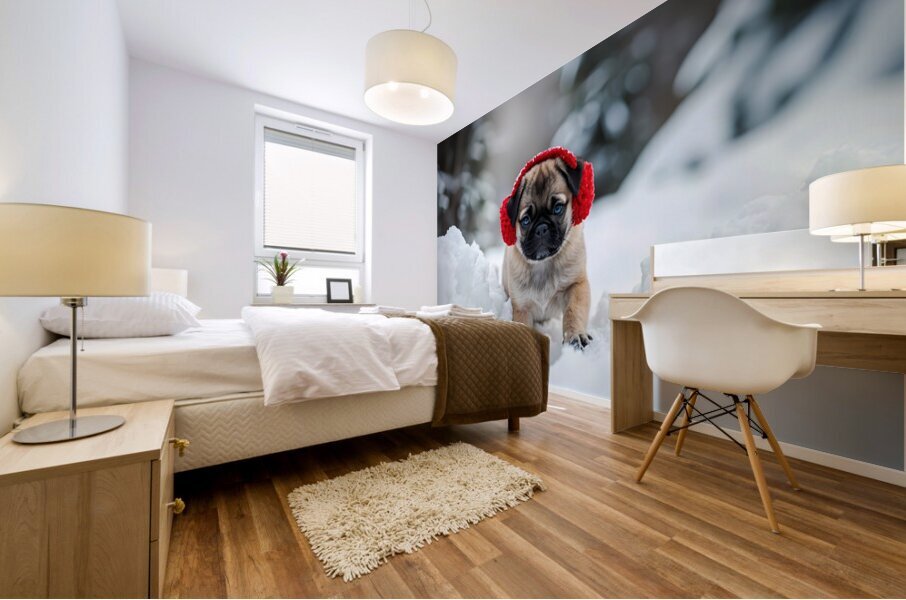 Pug Puppys First Snow Adventure With Red Earmuffs Mural print