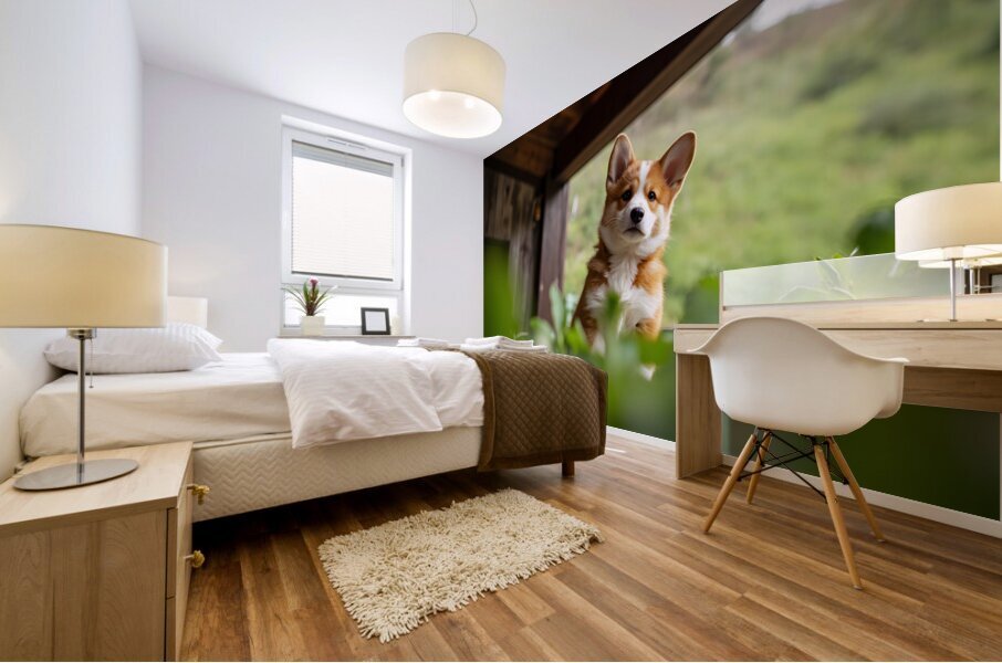 Brave Corgi Puppy Watches Storm Clear Mural print