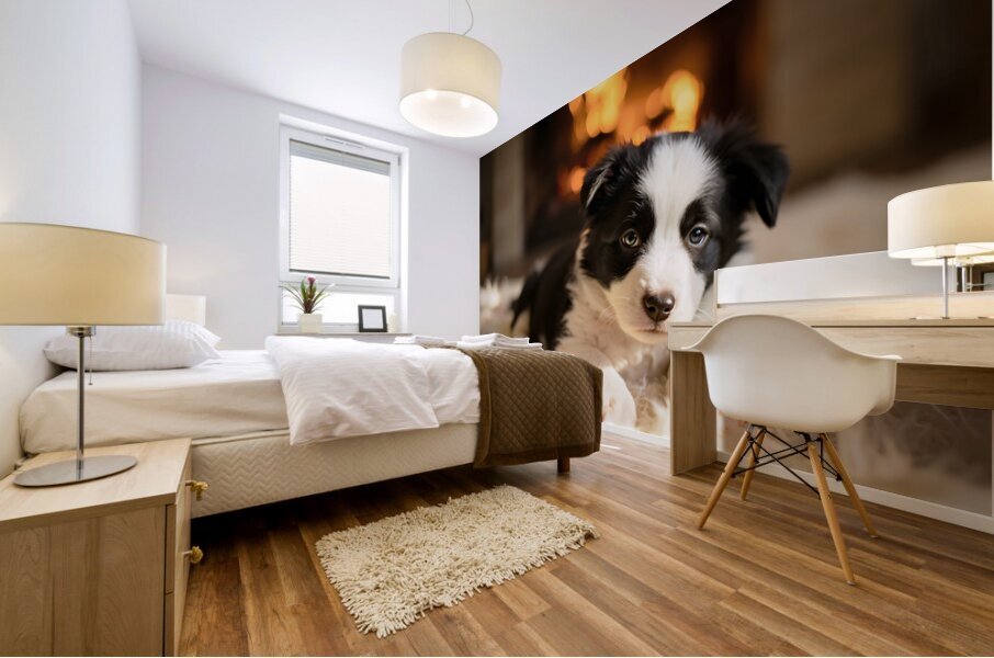 Border Collie Puppy Discovers The Warm Fireplace Mural print