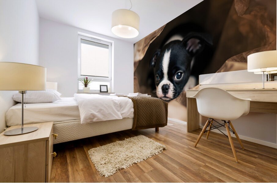 Boston Terrier Puppy Discovers Mysterious Shopping Bag Mural print