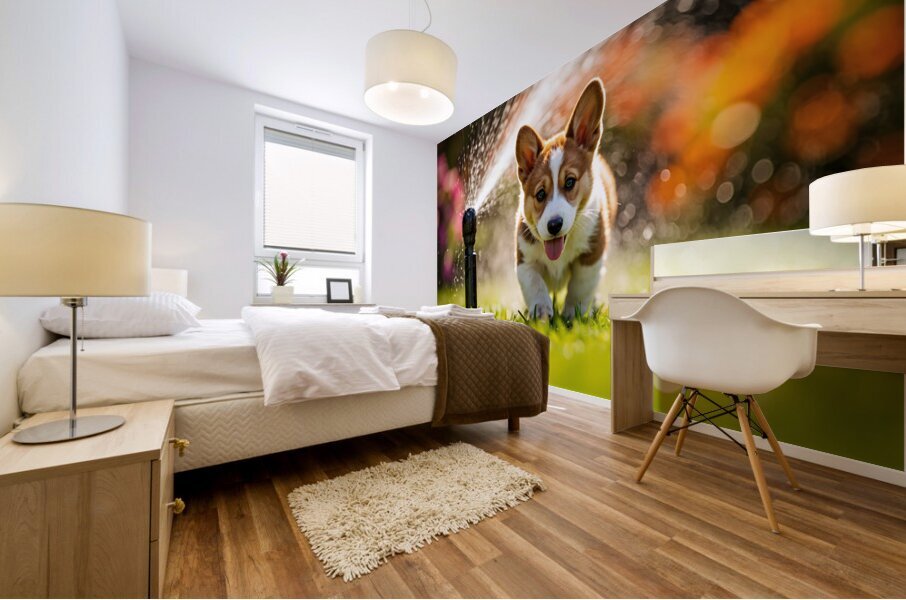 Happy Corgi Puppy Rests After Sprinkler Adventure Mural print