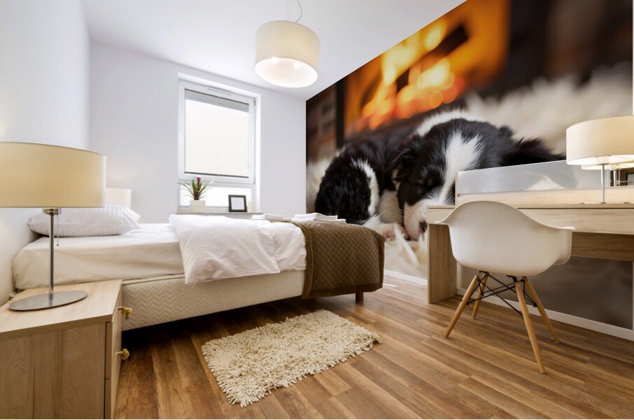 Happy Border Collie Puppy Enjoys Perfect Evening By The Fire Mural print