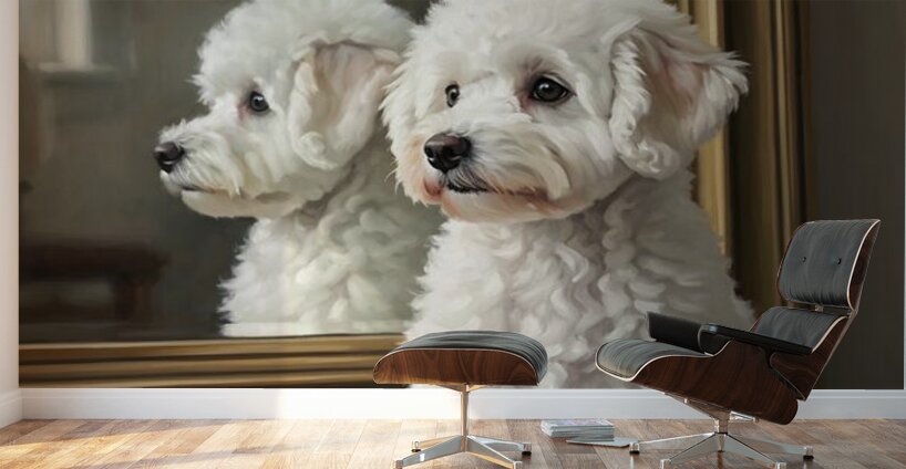 White Bichon Frise Puppy Contemplates Its Reflection Wall Murals