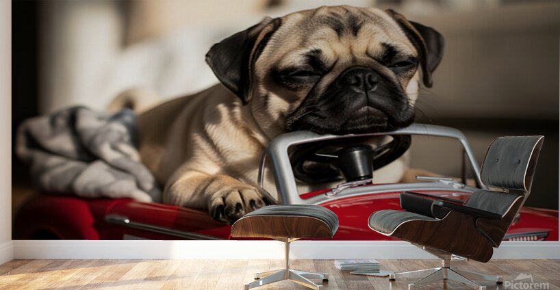 Sleepy Pug Puppy After Car Adventure Wall Murals