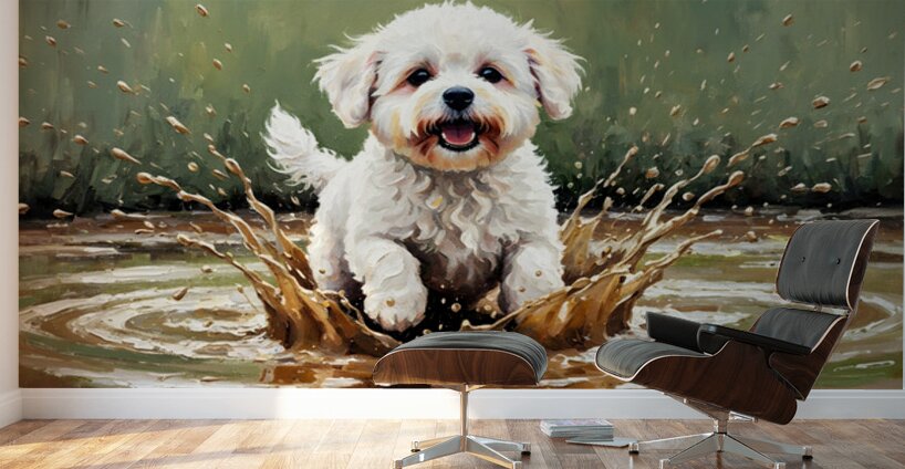 Muddy Bichon Frise Puppy After Puddle Adventure Wall Murals