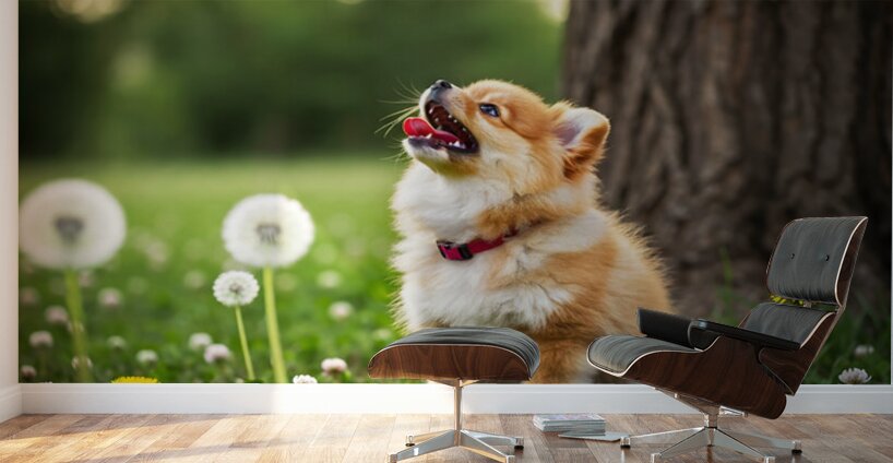 Playful Pomeranian Puppy Finds New Fun Around The Tree Wall Murals