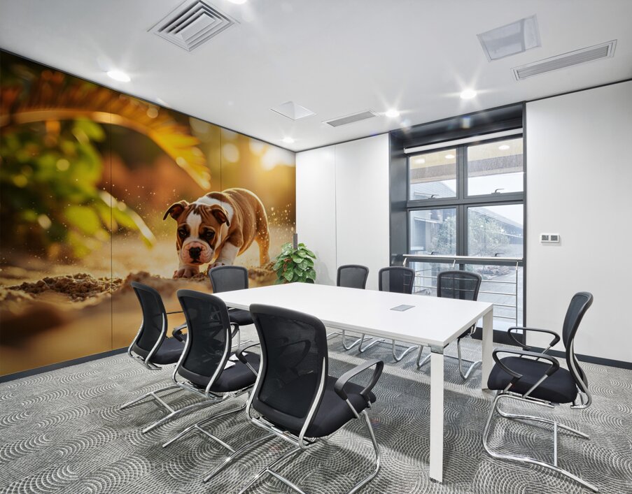 Bulldog Puppy Discovers Sandy Adventure Wall Printing