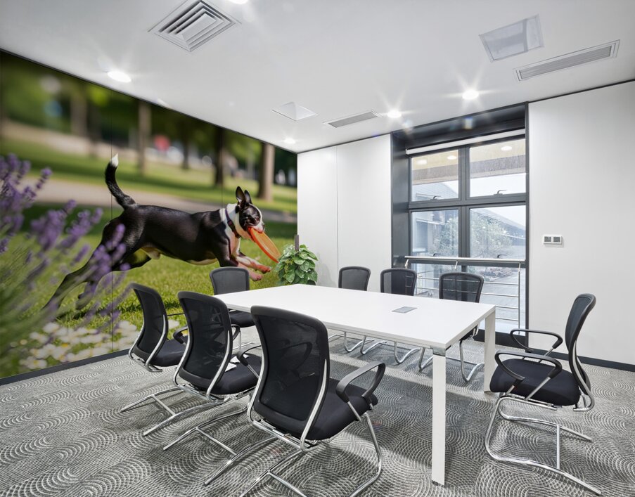 Proud Boston Terrier Puppy Lands With Caught Frisbee Wall Printing