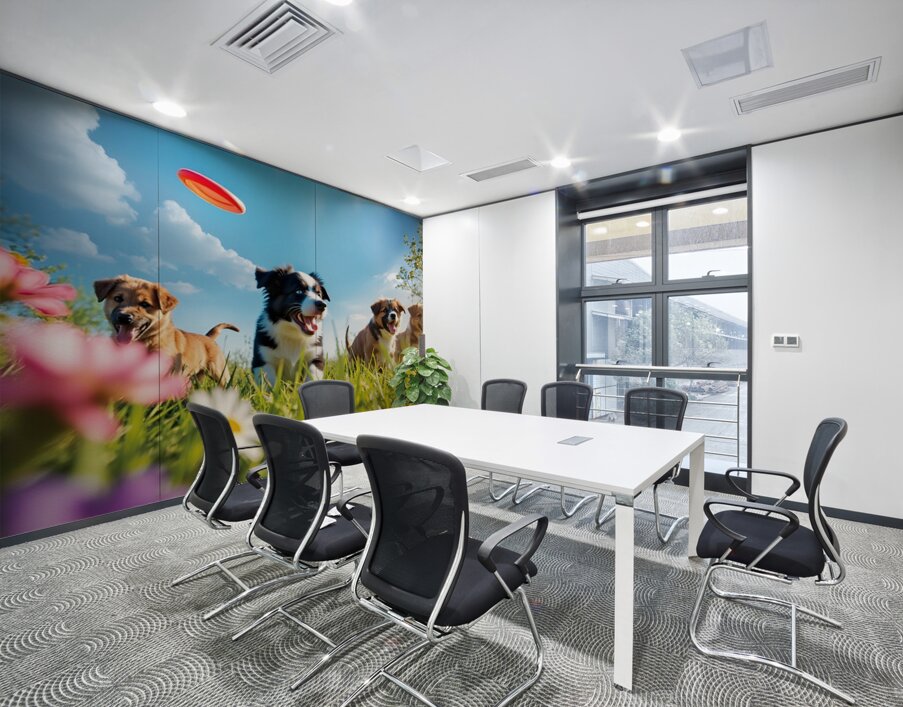 A black and white Border Collie puppy playing frisbee with his f Wall Printing
