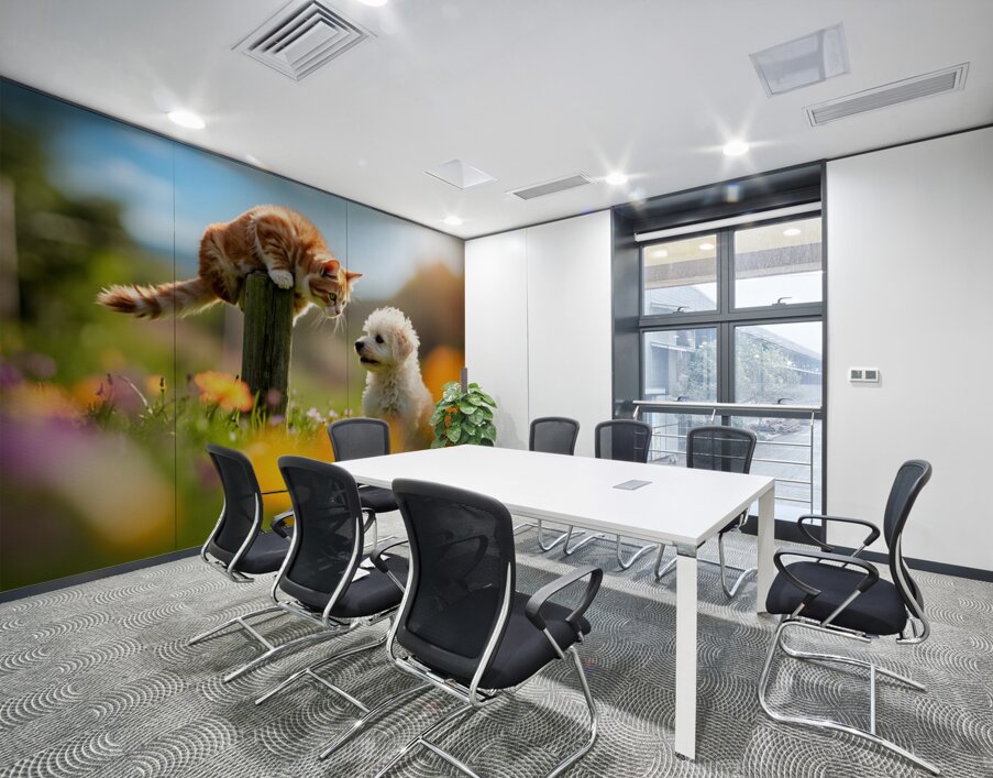 Bichon Frise Puppy Meets Garden Cat Wall Printing