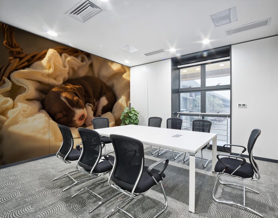 German Shorthaired Pointer Puppy Dreams Peacefully Wall Printing