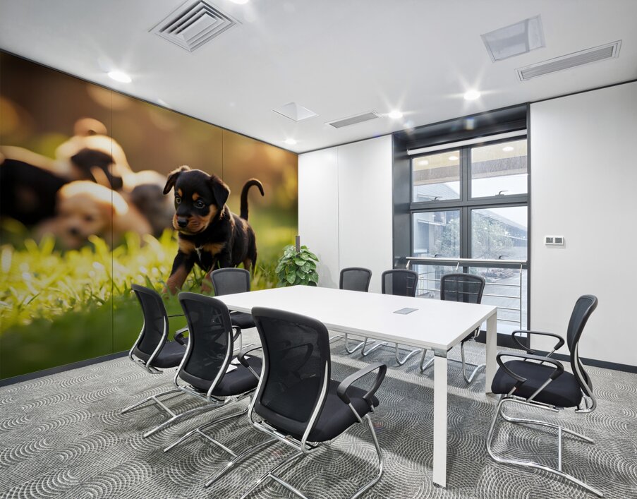 Rottweiler Puppy Ready To Play Wall Printing