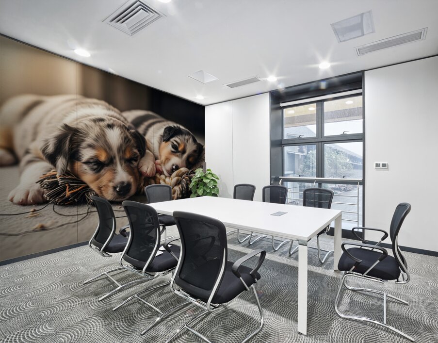 Australian Shepherd Puppy Rests After Playtime Wall Printing