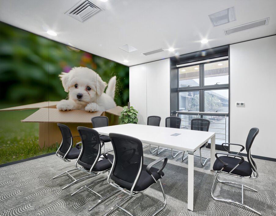Happy Bichon Frise Puppy With Discovered Toy Treasures Wall Printing