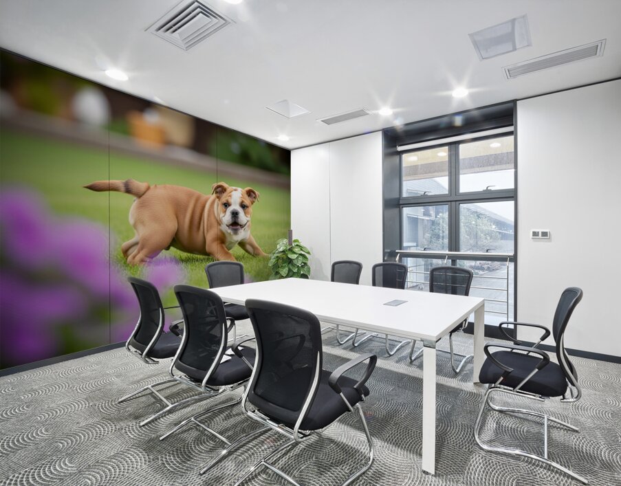 Bulldog Puppy Discovers His Tail Wall Printing