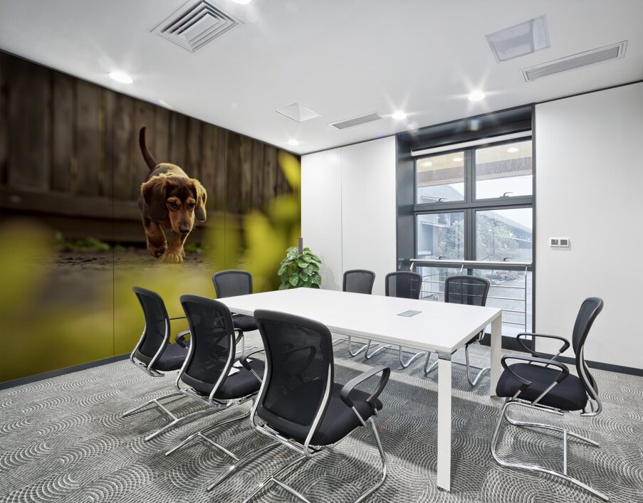 Sleepy Dachshund Puppy Yawns In Garden Wall Printing