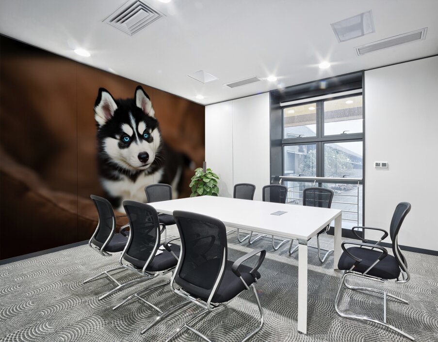 Content Siberian Husky Puppy Relaxes In Comfortable Bed Wall Printing
