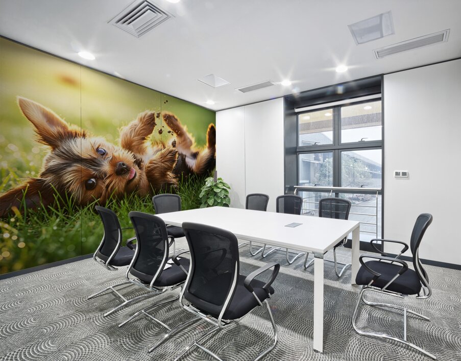 Tired Yorkshire Terrier Heads Home Wall Printing