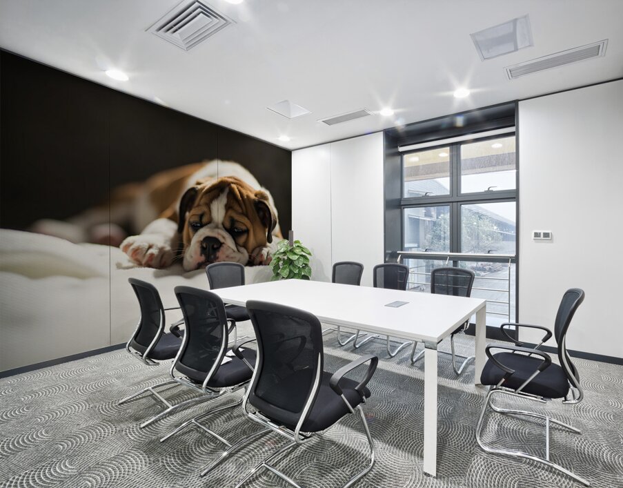 Bulldog Puppy Perfect Portrait Pose Wall Printing