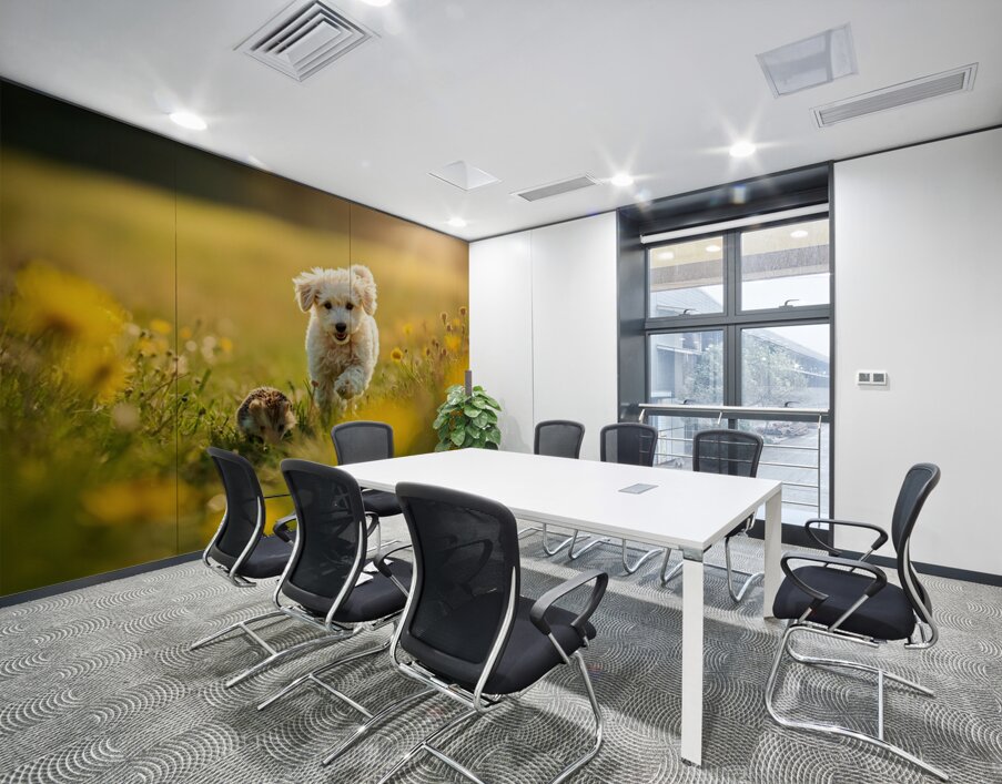 Poodle Puppy Rests Peacefully With Hedgehog Companion Wall Printing
