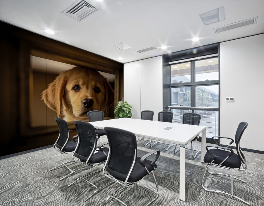 Puppy Waits For Visitors To Arrive Wall Printing