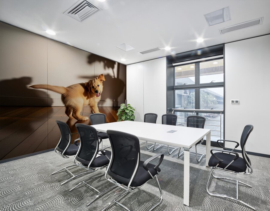 Sleepy Golden Retriever Puppy Rests After Shadow Chase Wall Printing