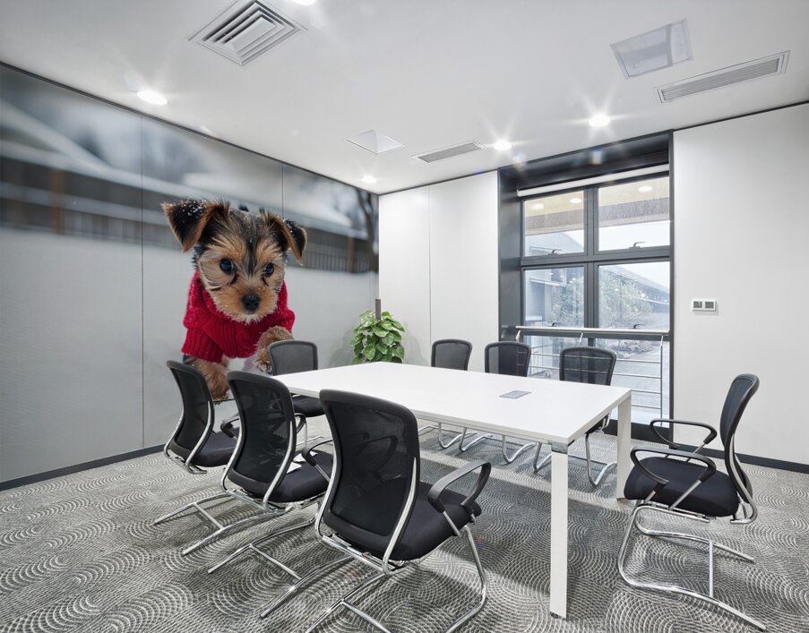 Yorkshire Terrier Puppy Watches Winter Snow Fall Wall Printing