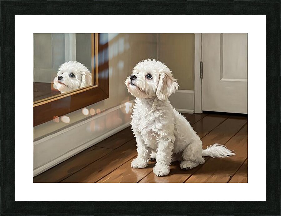 Curious White Bichon Frise Puppy Discovers Mirror For First Time Picture Frame print