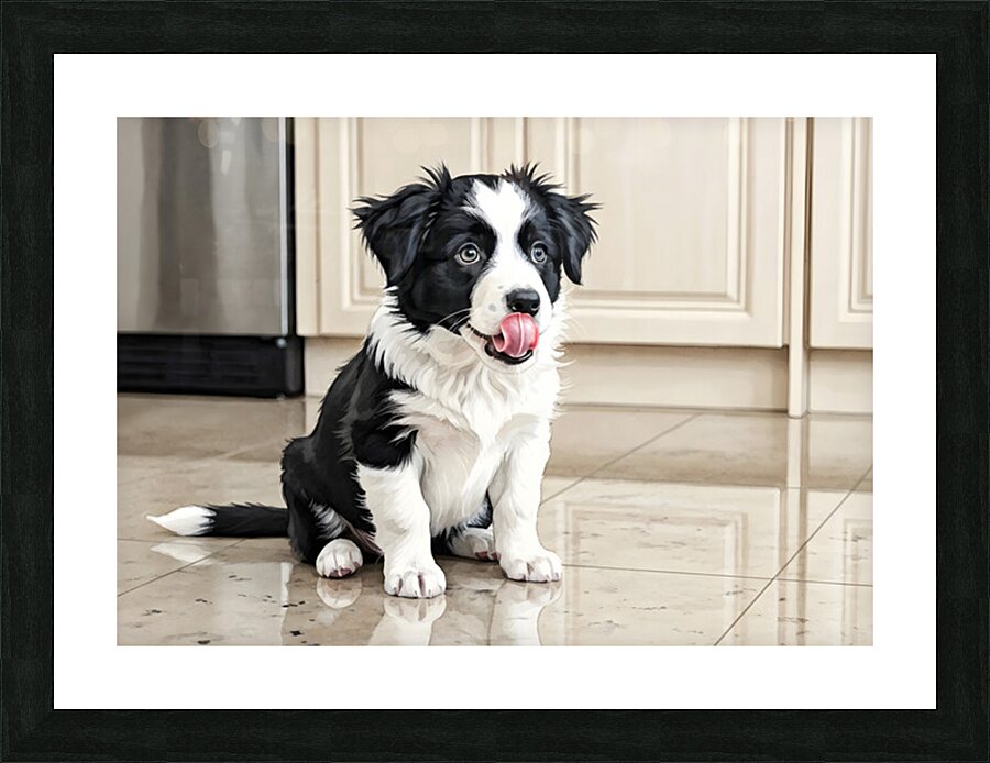 Border Collie Puppy Anticipates Delicious Treat Picture Frame print