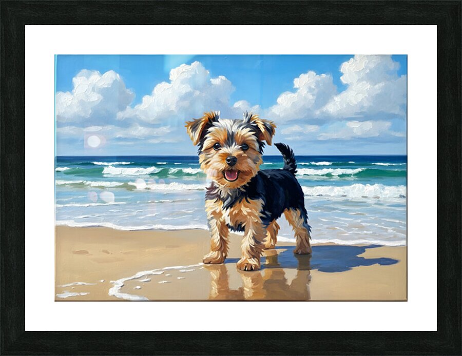 Yorkshire Terrier Puppy Discovers The Beach Picture Frame print