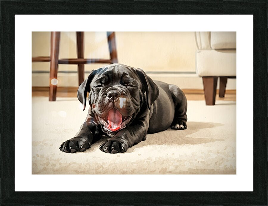 Cane Corso Puppy Stretches After Peaceful Nap Picture Frame print
