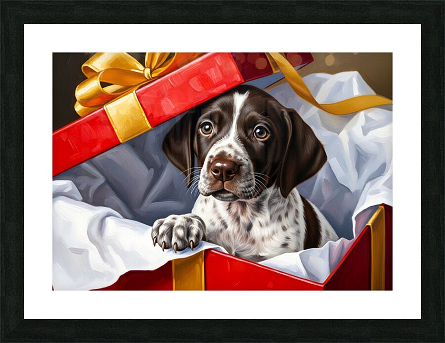 German Shorthaired Pointer Puppy Discovers Big Red Gift Box Picture Frame print